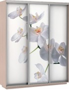 Шкаф  3-и двери с фотопечатью Орхидея